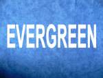 Evergreen Containerschiffe