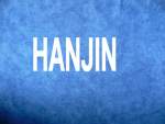 Hanjin Containerschiffe