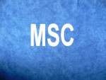 MSC Containerschiffe