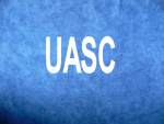 UASC Containerschiffe